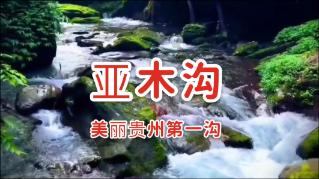 脑洞小老弟无实名认证