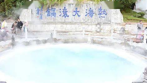 动物帮帮忙保卫家园