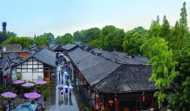 2024年，谁的桃花会最好呢？